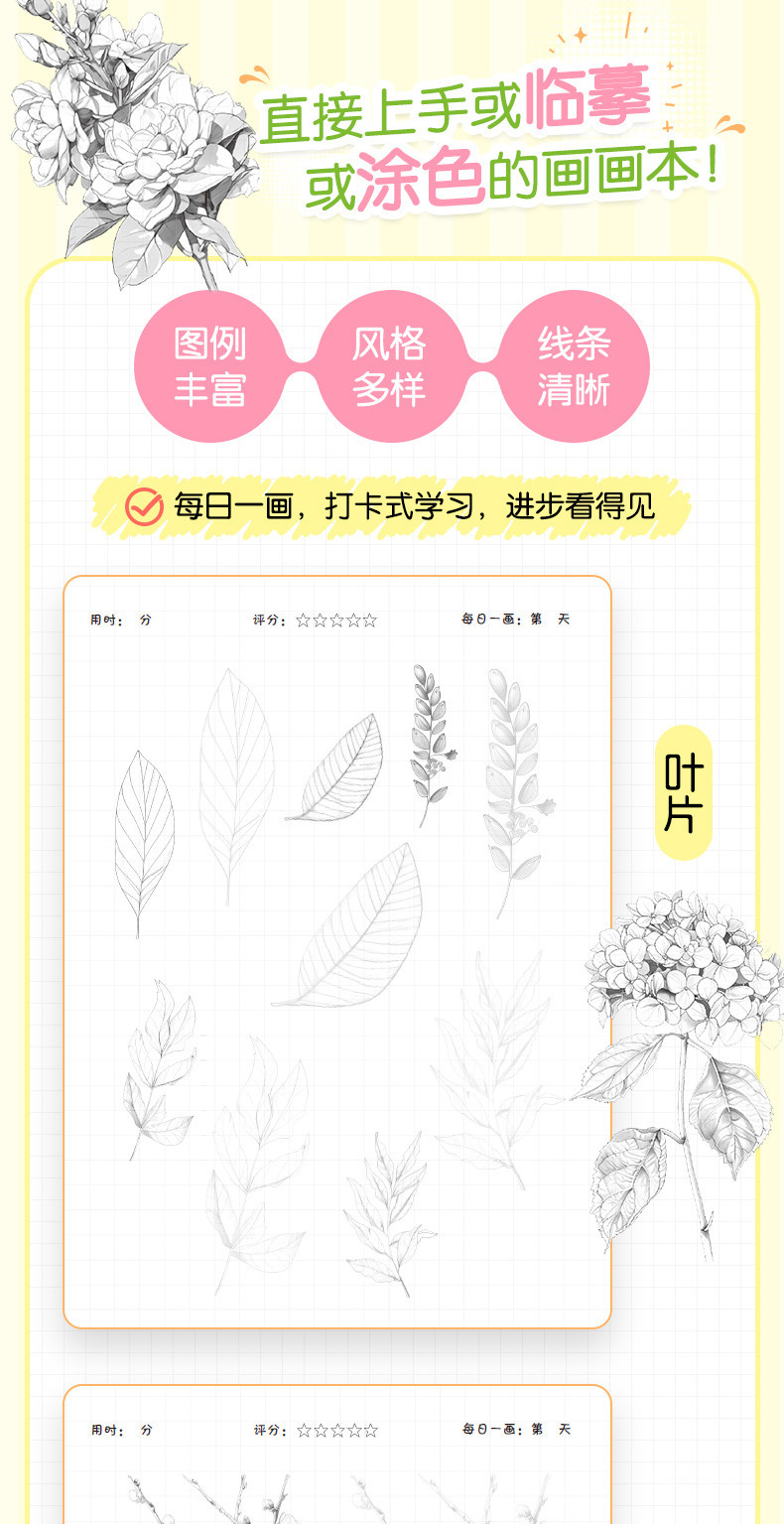 Flower Painting Pencil Line Drawing Copybook Chinese Version