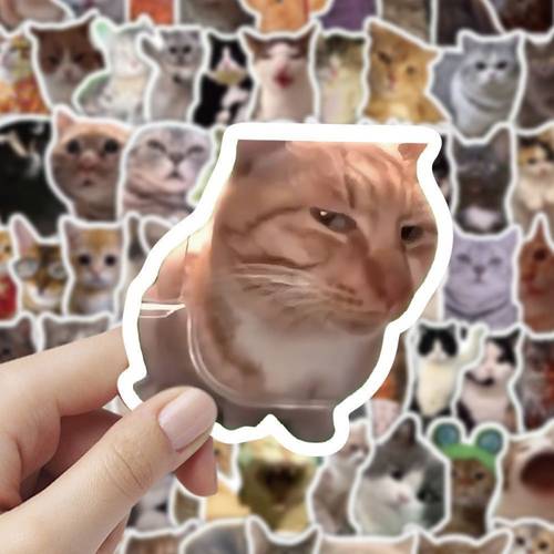 100pcs cat sticker pack trendy instagram style memes for laptops suitcases computers chairs walls cabinets