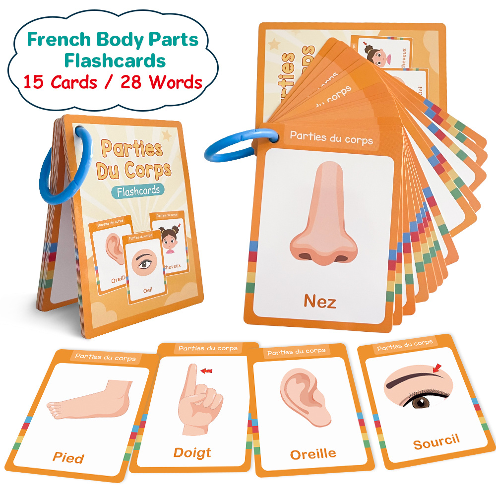 Image of Flashcards For French Body Parts - A Bilingual Vocabulary For Children | Essential For Preschool And Kindergarten Classrooms | Endorsed By Educators