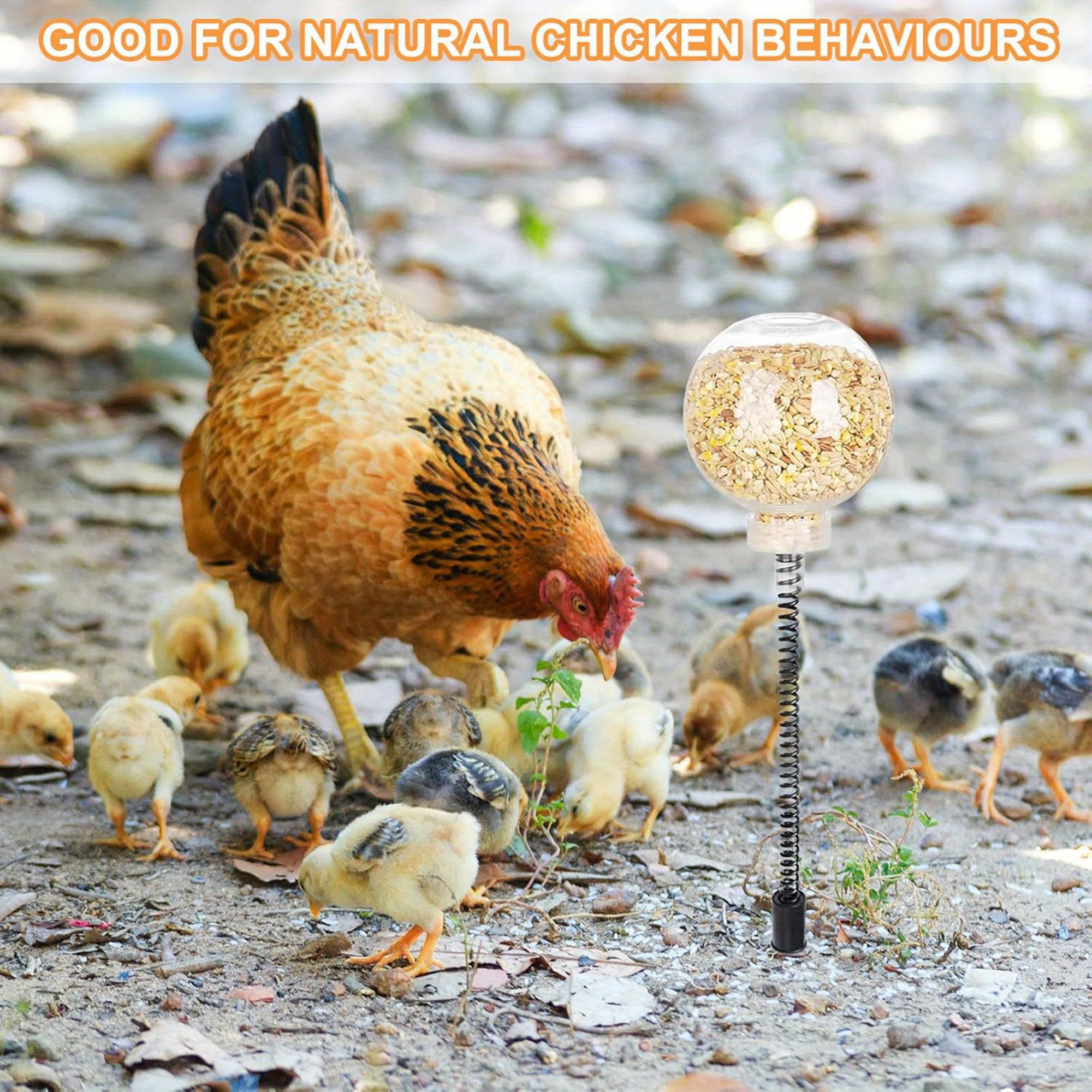 Chicken Pecking Toys - Metal, Coop Swing Pecking Toy | Durable Non