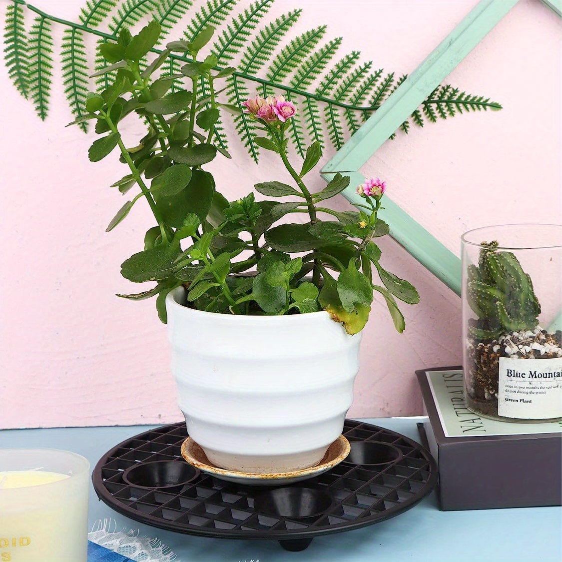 6x plant level pot elevator heavy duty plant stands 20 30cm plant pot saucer details 5