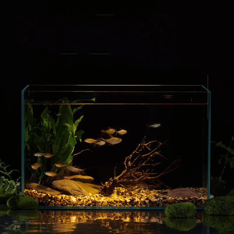 rectangle glass fish tank native stream Temu Pakistan