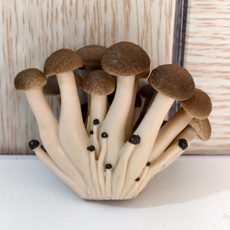 E-shop 1 Stück Realistische Simulation Honshimeji-Pilz (Hypsizygus Marmoreus) Dekoration – Authentisch Marmoriert, Kompatibel für Deko, PVC-Pilze für