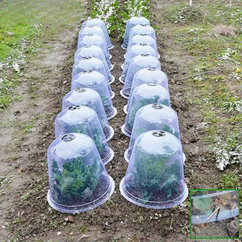10pcs 20pcs 30pcs vegetable seedling flower and plant protective moisturizing covers round thickened seedling protectors transparent plant covers pest barrier covers reusable