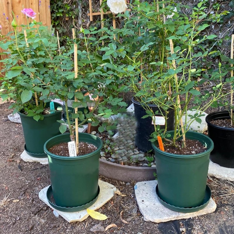 40cm plant pot - United Arab