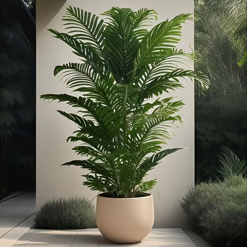 5f72857361af4cbfaa8e715ca13c1e77 Goods