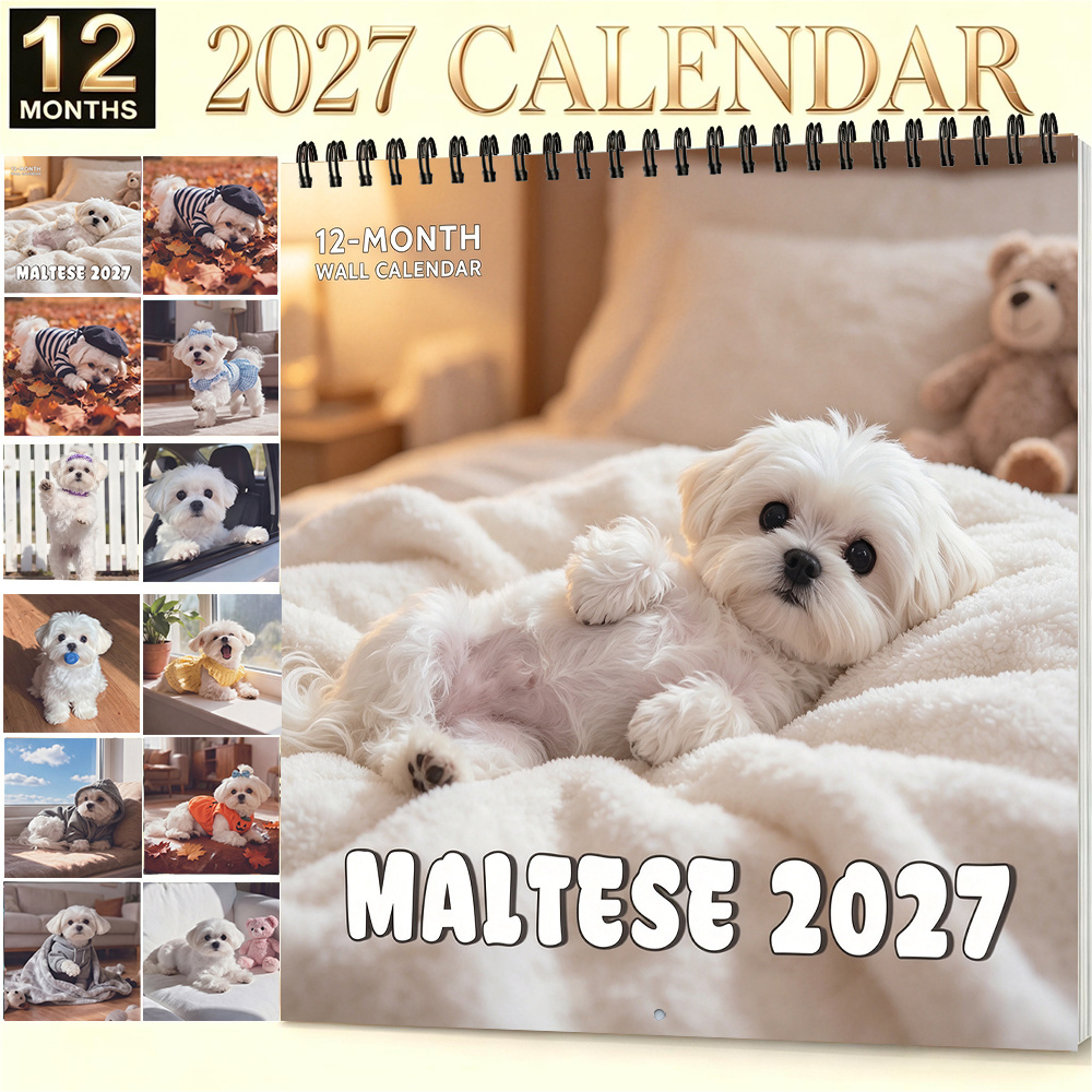 TEMU 1 pièce, Calendrier mural mensuel 2027 Maltais 12 mois 8,3*8,3 pouces, motif de chien , papier épais, décoration murale et , convient pour Noël,