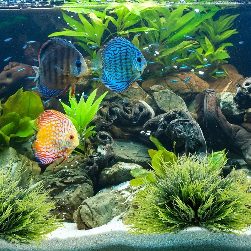 fish bowl accessories fish bowl accessories
