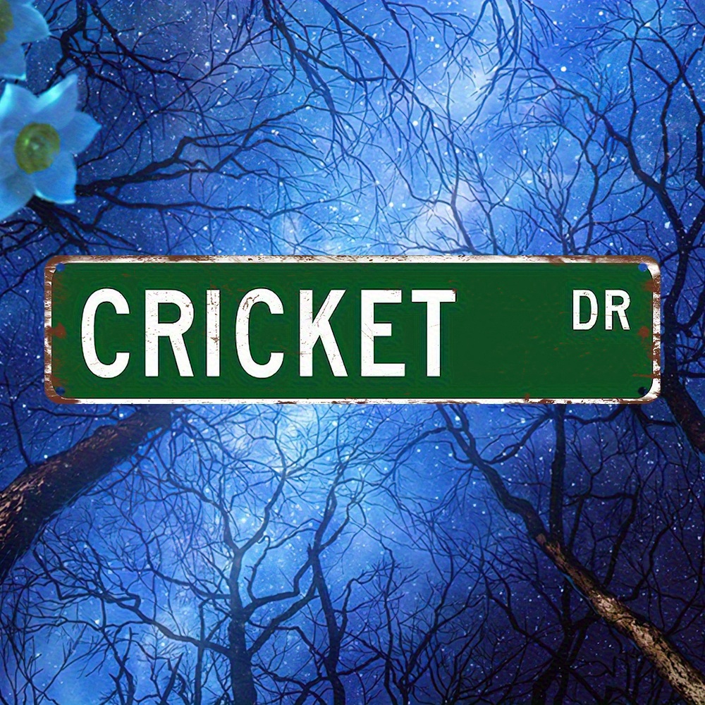 TEMU 2d Flat, 1pc Large Vintage Cricket Wall Decor - Retro Metal Cricket Bat & Sign Suitable For Man Cave, Bar, Kitchen - Gift For Cricket Fans, 2d