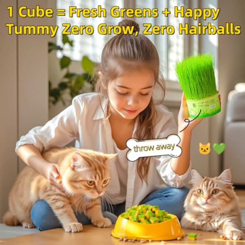 100g/3. 53oz Cats Grass Treats, Cat Toy Kitten Grass Pet Herb Stick Freeze Dried Kitty Food for Hairball Remove Teeth Cleaning Cats Consumable Kitty Lickable Chew Snack for Indoor