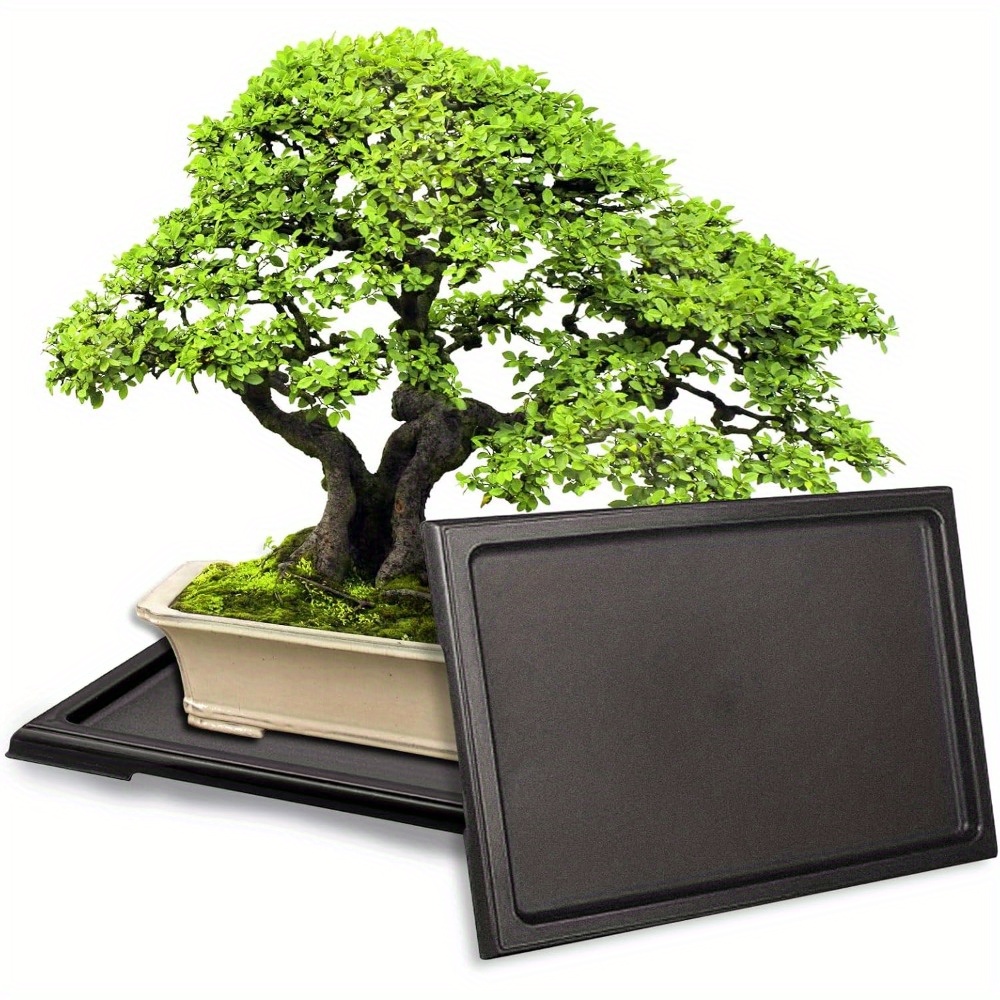 Set of 2 Bonsai Humidity Trays, Square Plastic Saucers Designed for Indoor  And Outdoor Use, Suitable for * Succulents, And Bonsai Trees, Measuring  11.4 by 8.4 Inches, Ideal for Drainage, Protection, ...