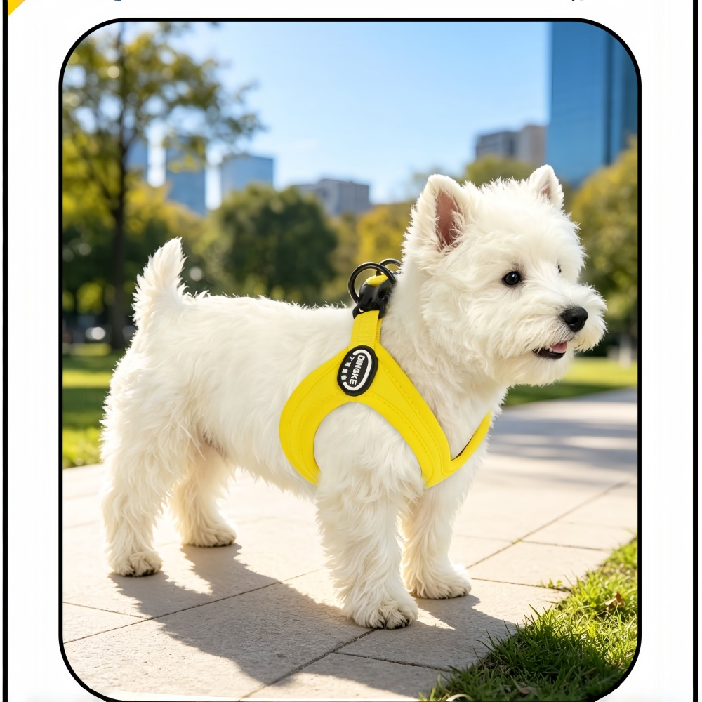 2pcs Adjustable Pet Chest Strap & Leash Set for Outdoor Activities