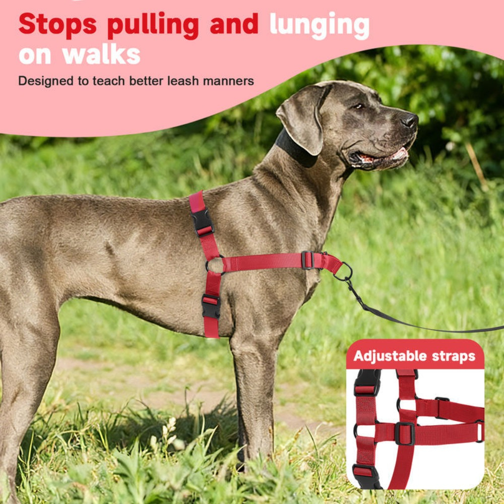 Customized Bone-Shaped Name Tag with Adjustable Nylon Leash