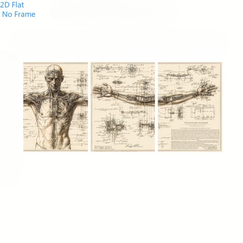 E-shop 2D Flach, 2D Flach 3-teilig Da Vitruvianischer Wandkunst - Vintage Anatomisches Diagramm, Proportionale menschliche Zeichnung, Ikone Da