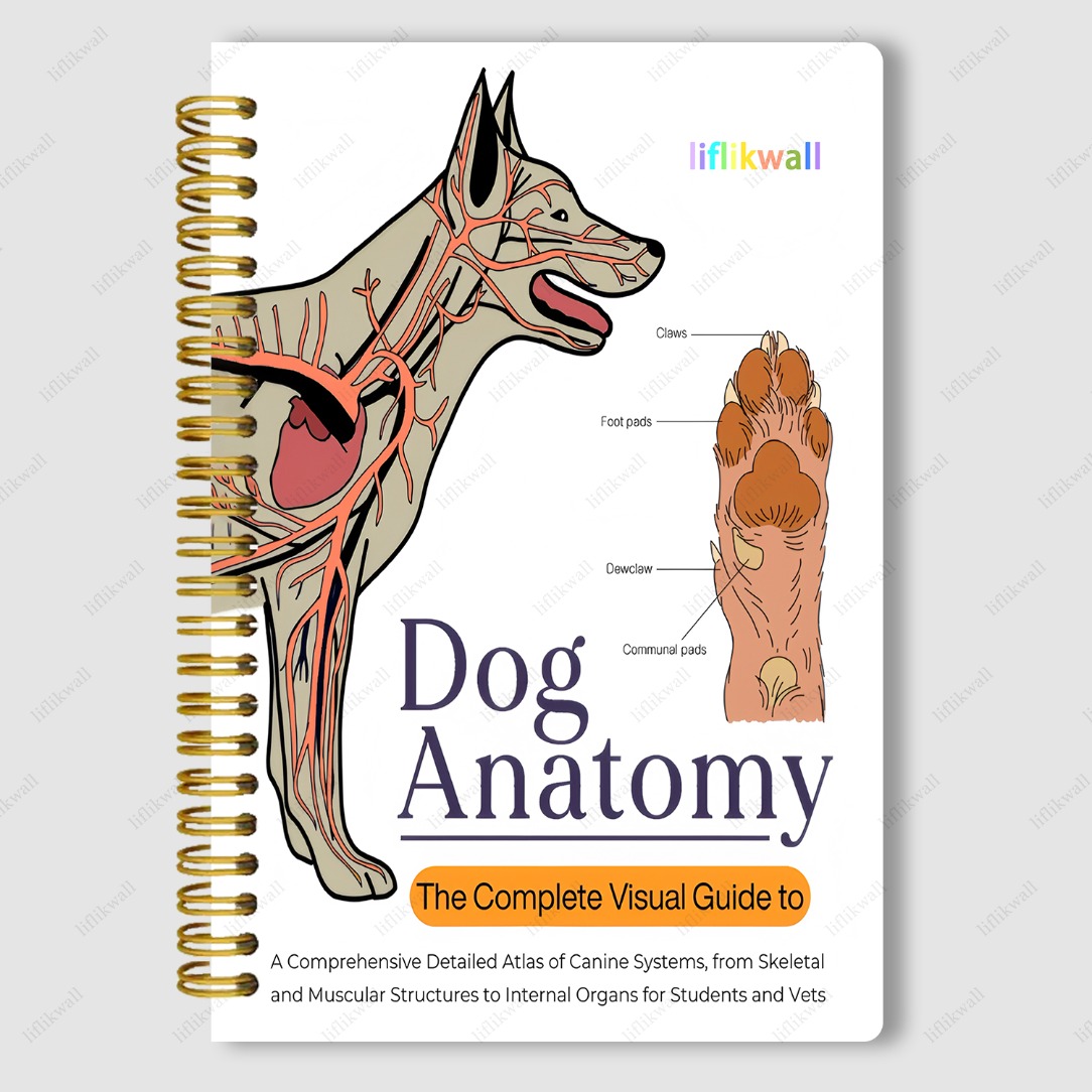 TEMU A Spiral Notebook With A Guide To Cat And Dog Diseases And Symptoms, Featuring Cat And Dog Anatomy On , Suitable For Veterinary Students, Pet
