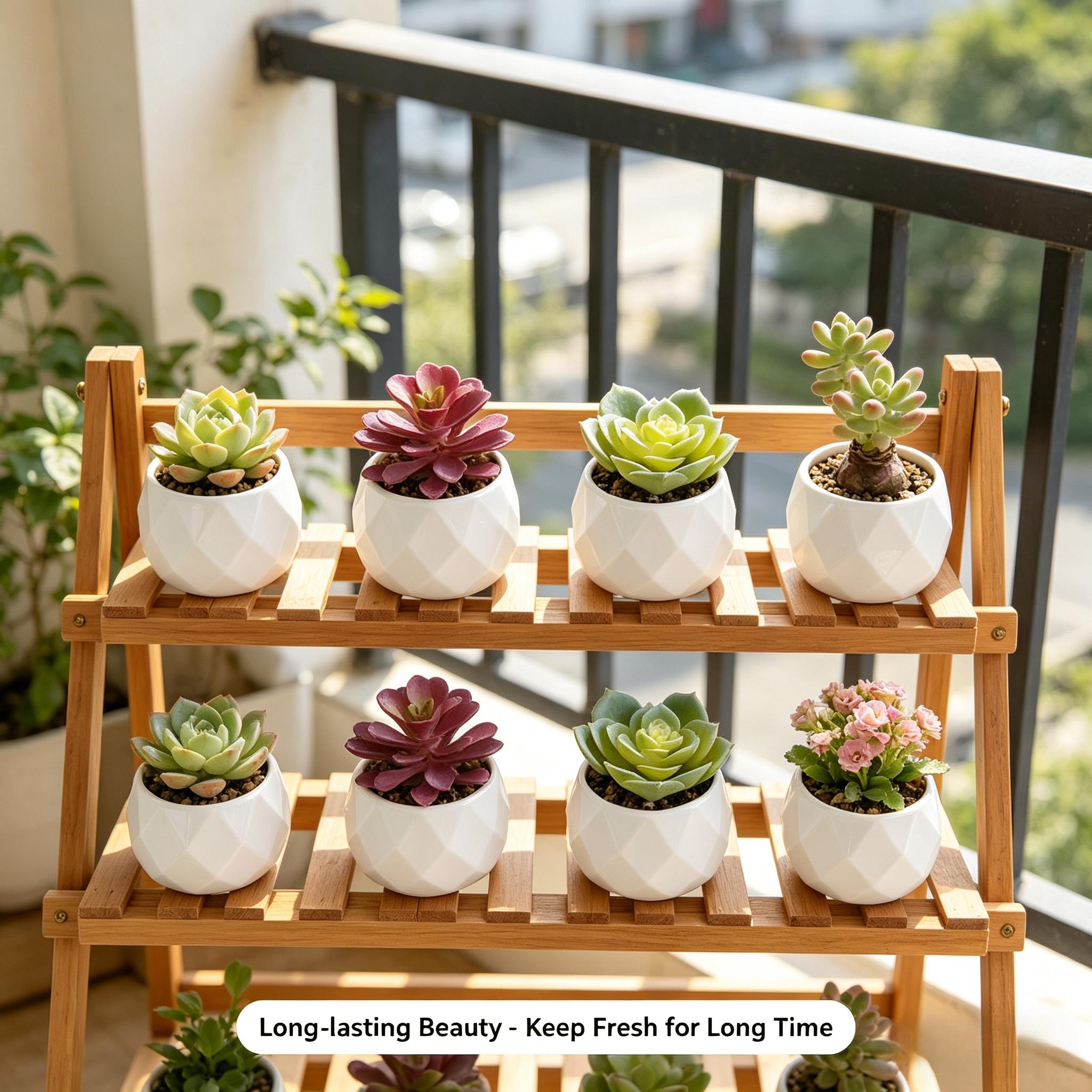 TEMU 8pcs White Quadrilateral Plant Pots, Indoor Planters, Seedling Pots, Windowsill Planters, Convenient And Durable For Succulents, , Herbs,