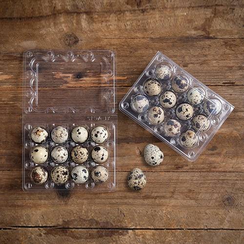 60pcs quail egg cartons square egg boxes classical 3x4 style to count small quail eggs basket pigeon eggs bulk carton quail egg tray container for refrigerator