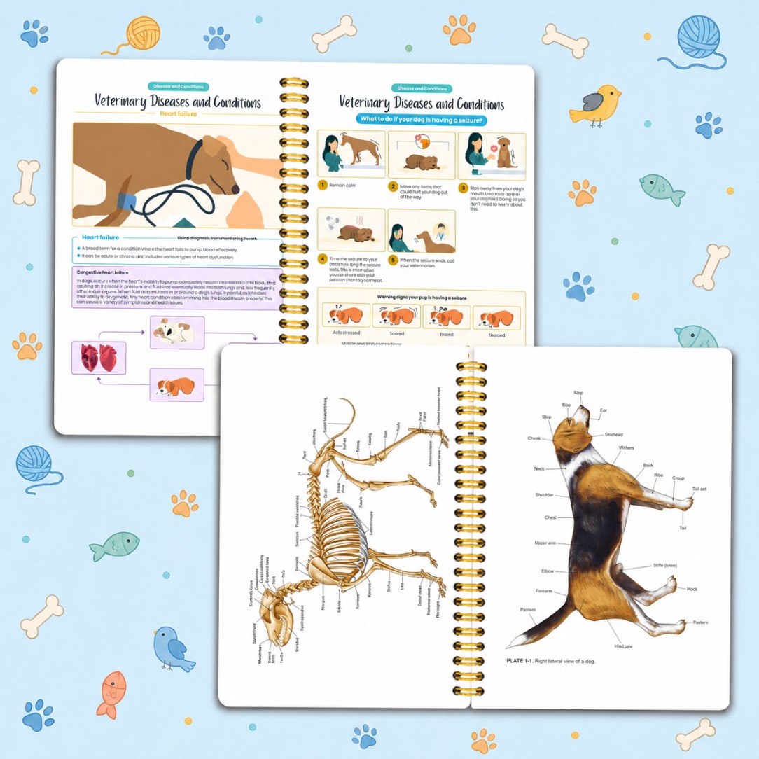 Pet Care Learning Guide, Including Dog And Cat Anatomy Charts, Disease Symptom Explanations, Organ System Knowledge, And Health Management Reference Content