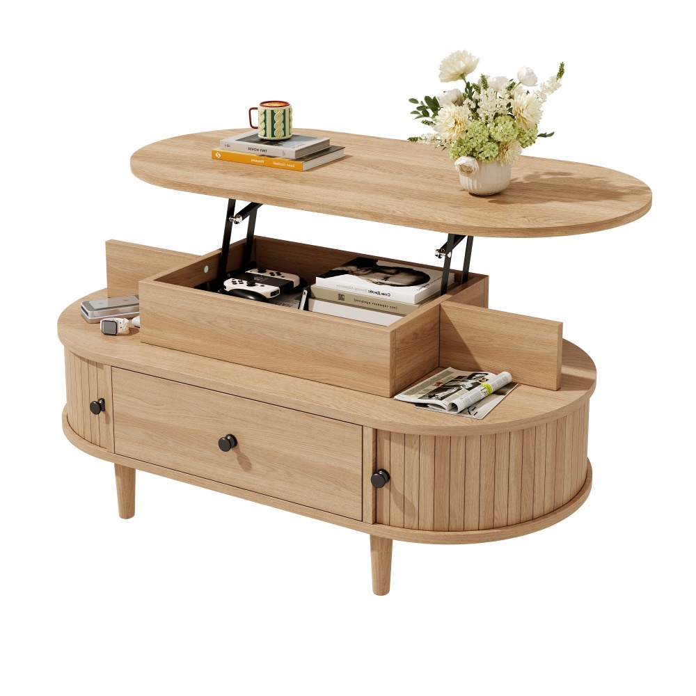 TEMU Table Basse. Table Ovale pour Canapé en MDF, avec Plateau Hydraulique, Espace de Rangement , Étagères Ouvertes, un Grand Tiroir, Portes