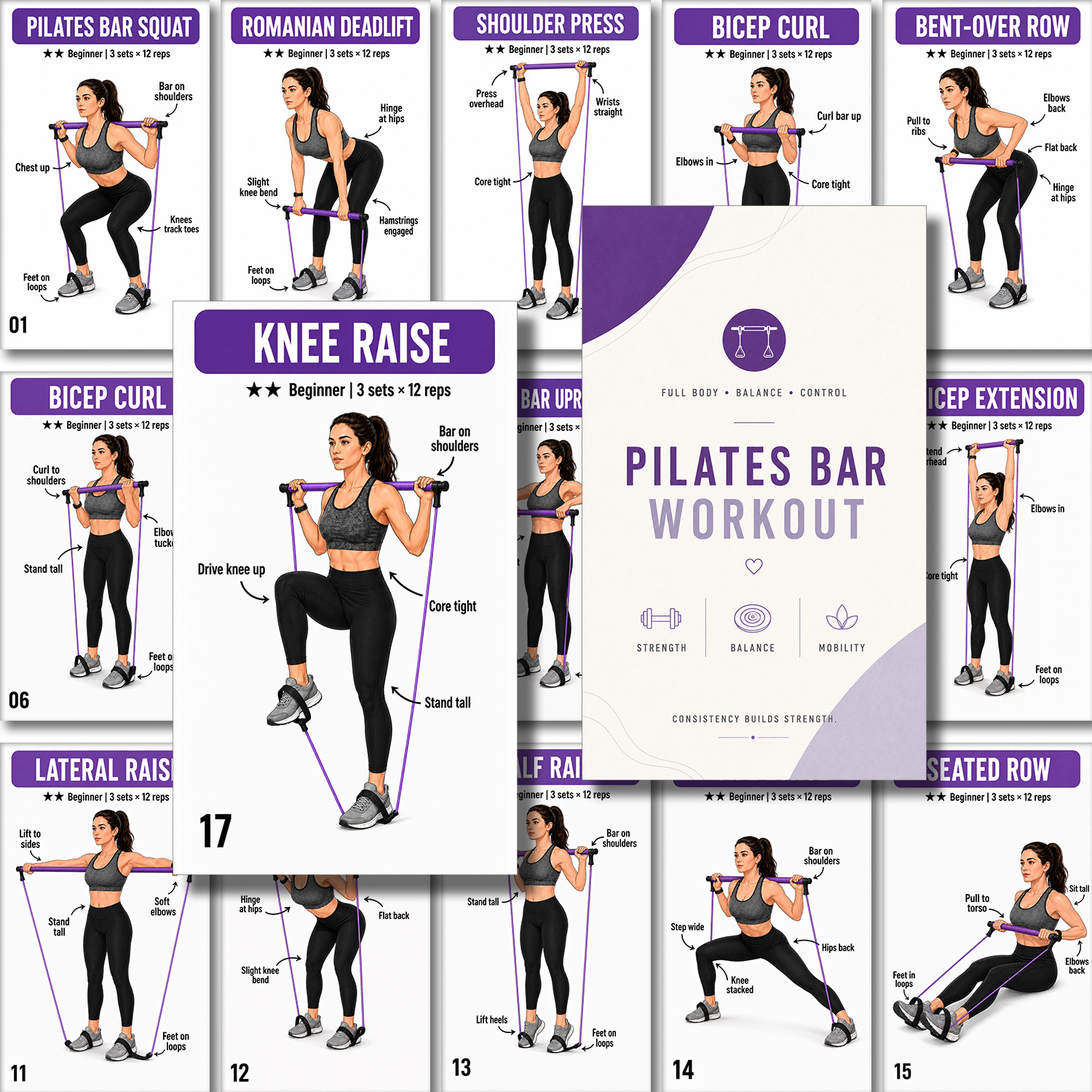 TEMU Lot de 20 d'exercices avec barre de Pilates, guide d'entraînement portable avec bande de résistance, d'entraînement de force pour tout , jeu de