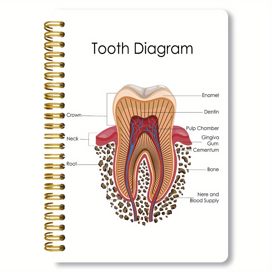 TEMU Dental Anatomy A5 Spiral Notebook, 50 Pages, With Annotated Tooth Diagrams And Dental Arch Structure Diagrams, Suitable For Dental Students,