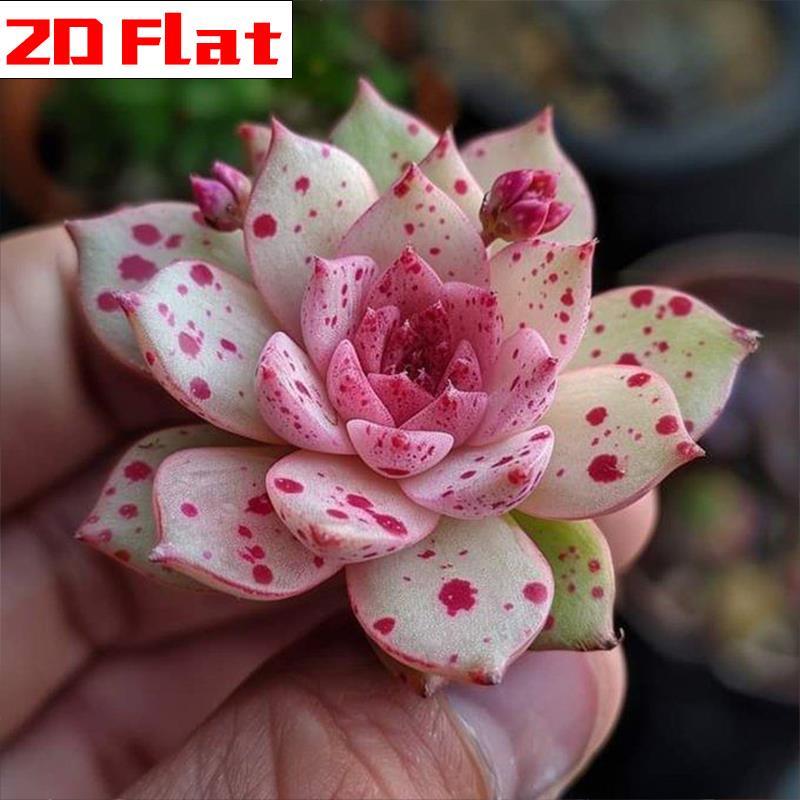 TEMU 1pc, 2d Pink Spotted Succulent Diamond Painting Kit, Diy 1 Craft, Handmade For Adults, Perfect Wall Decor For Living Room Bedroom Entryway,