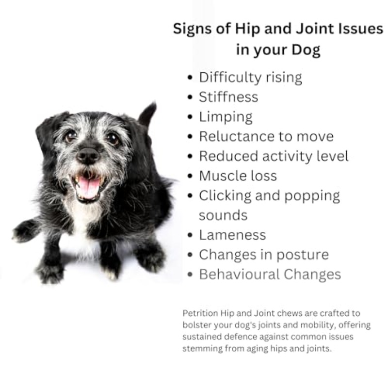 Hip and Joint Support - Glucosamine for Dogs Soft Chews, Joint Supplement with Glucosamine, Omega 3 and 6, MSM, Turmeric, Anti Inflammatory, Support + Mobility 120 Soft Chews