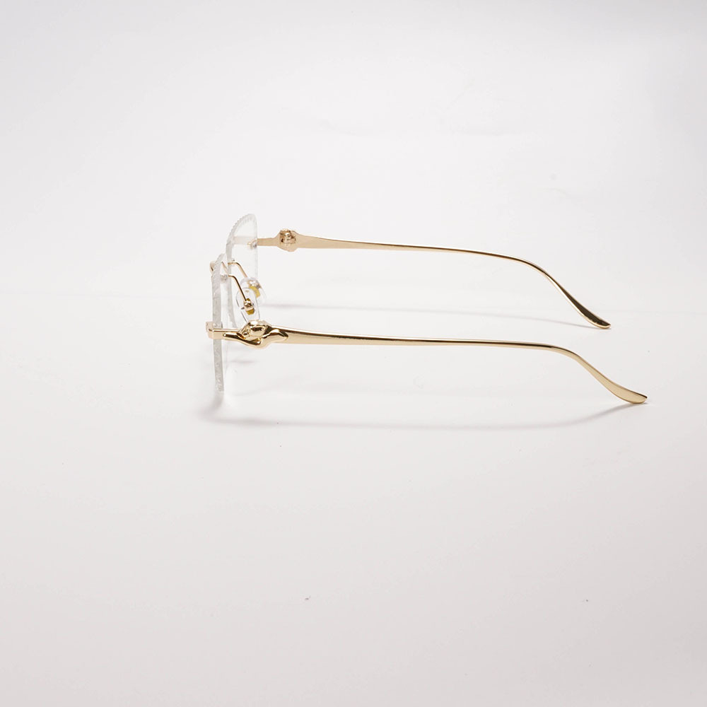 Liridian Brand Premium Frameless Glasses with Case
