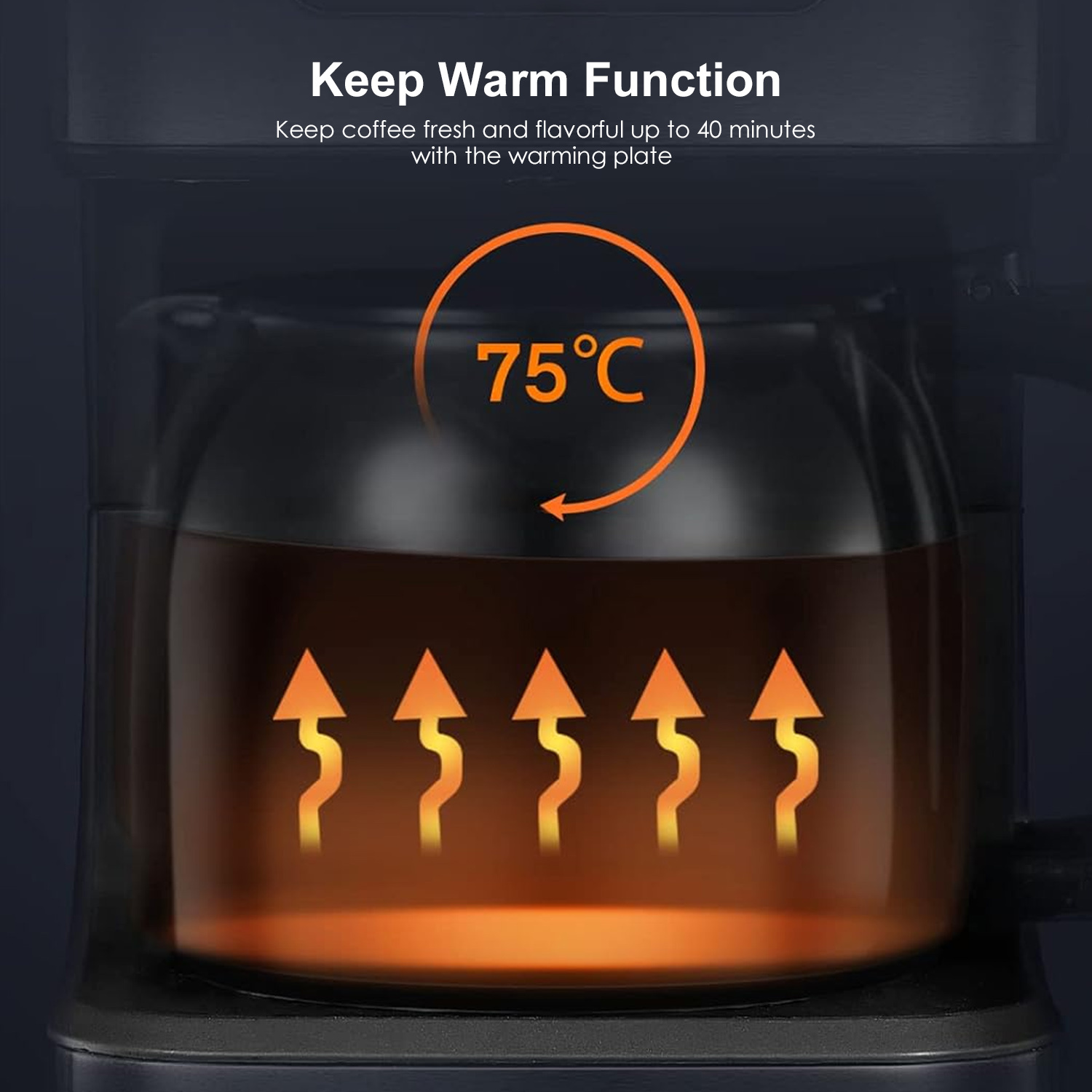 Programmable Drip Coffee Maker with 24-Hour Timer and Fast Brewing
