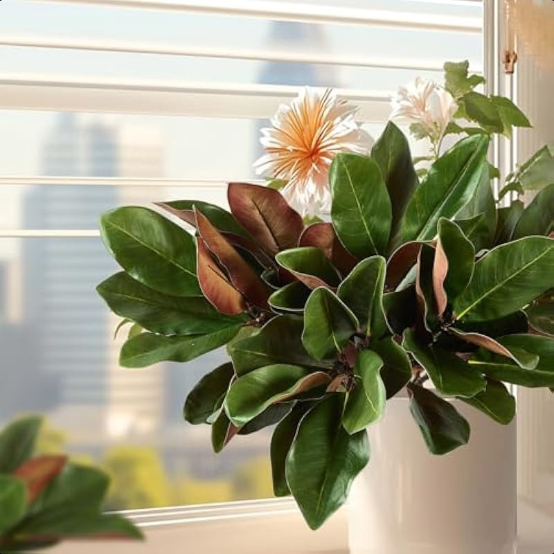 künstlicher tannenbaum frasier Naturgetreue Nordmanntanne: Sicher, langlebig und pflegeleicht! – sekeymall main image 0