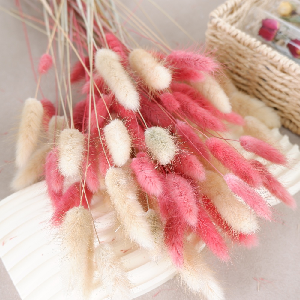 Image of 51pcs Of 's-tail Grass For Autumn Decor, Perfect For Bohemian Style In Homes, Weddings, And Festive Christmas Or Fall Decorations