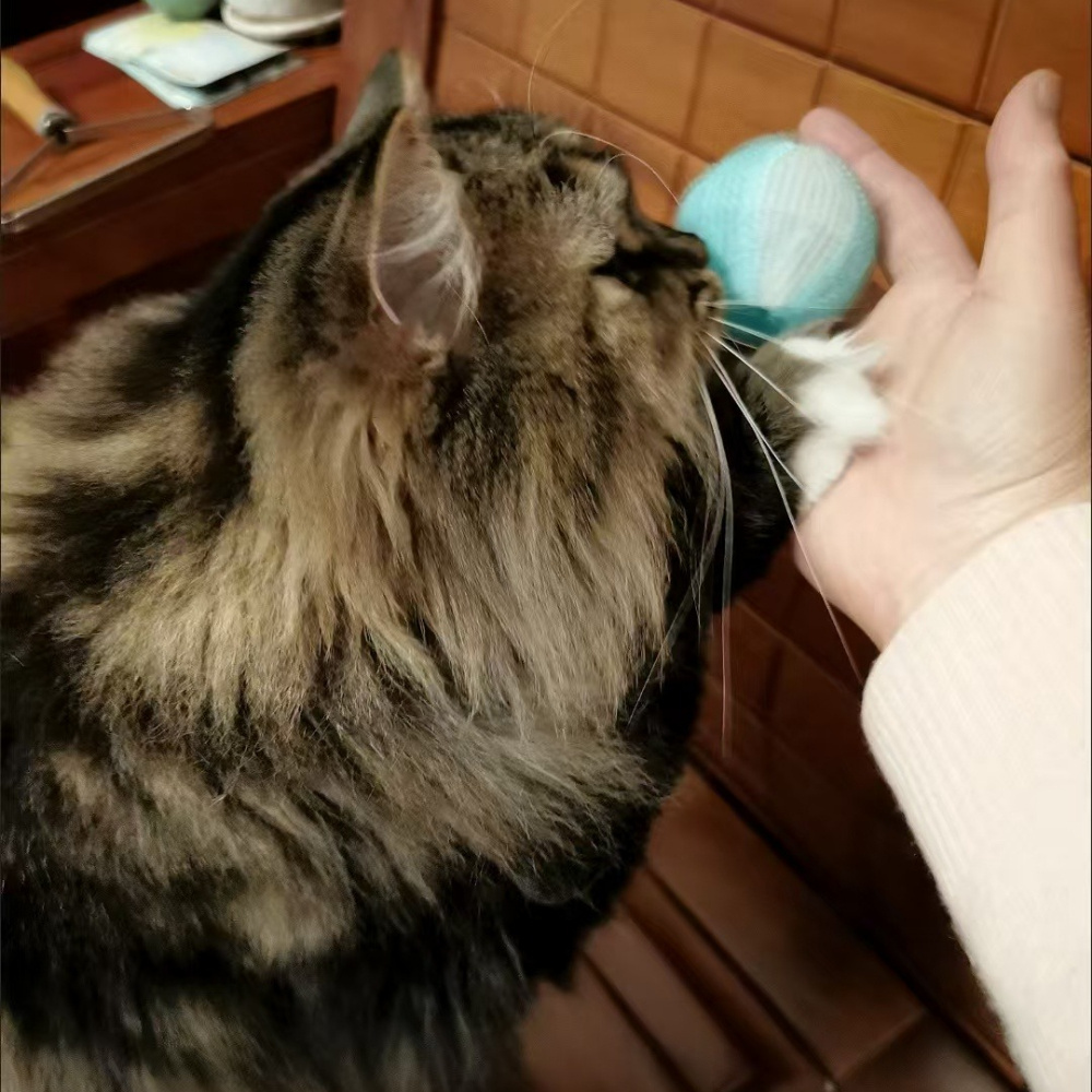 8/16 pièces Enlève-Poils de Chat Réutilisable – Sans Électricité, Retire Facilement les Poils d'Animaux des Vêtements et Literie | Outil Nettoyage Toutes-Saisons pour la Maison, Cadeau Pratique Pour Propriétaires D’Animaux