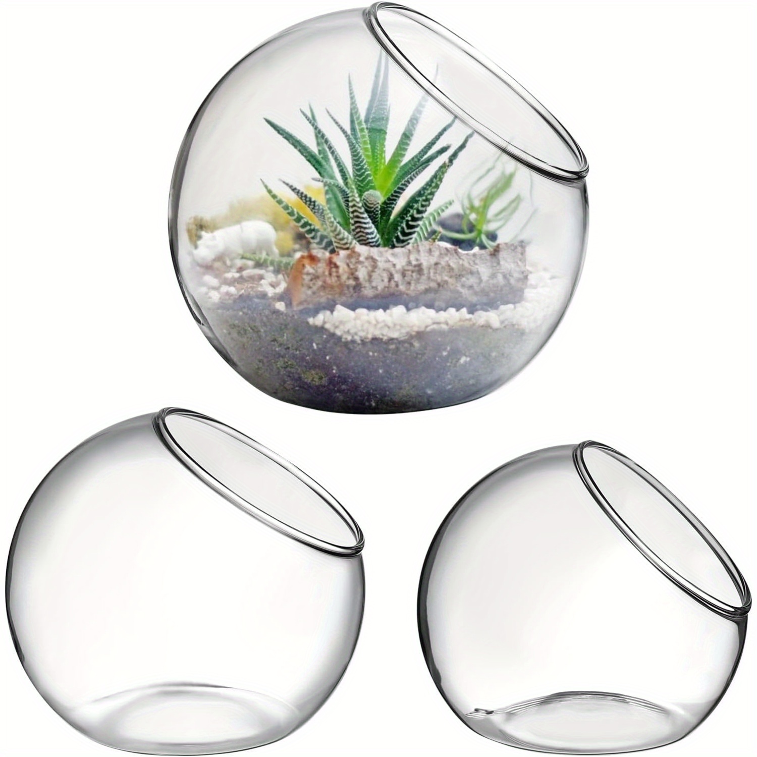 

3pcs Glass Terrarium Set - Clear Round Succulent & Air Plant Planter Bowls, Vintage Style Microlandschaft Desktop Display Globes