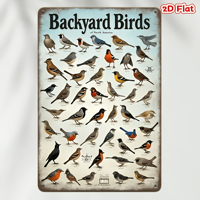 2d flat vintage northern birds   wall decor wooden ornament suitable for home garden and birdwatching   rustic wildlife plaque with bird identification chart ideal for   educational decor 2d flat
