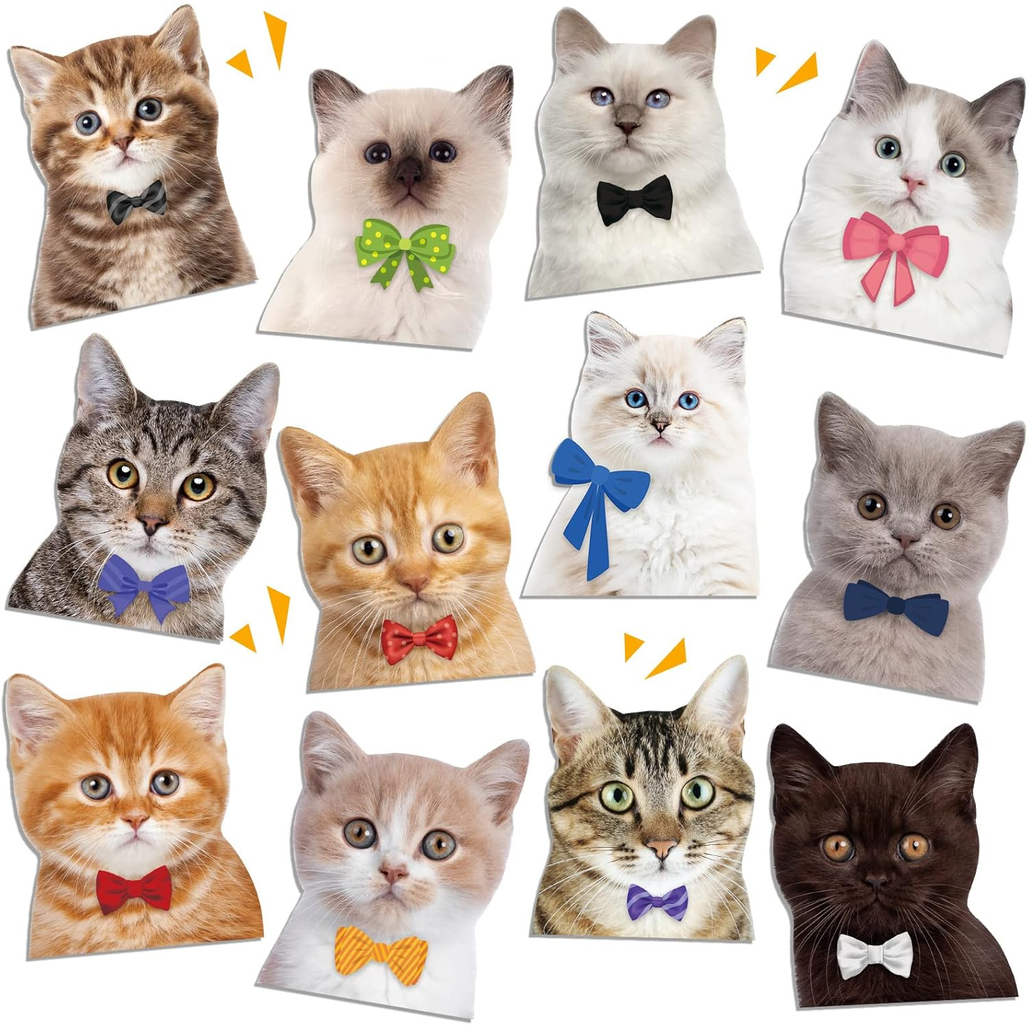 TEMU Félin Plat 2D pour Réfrigérateur ! 12 Aimants Magnétiques pour des Chats - Collection Kitty Parfaite, Résidus & Sûr de la Chaleur, Décor