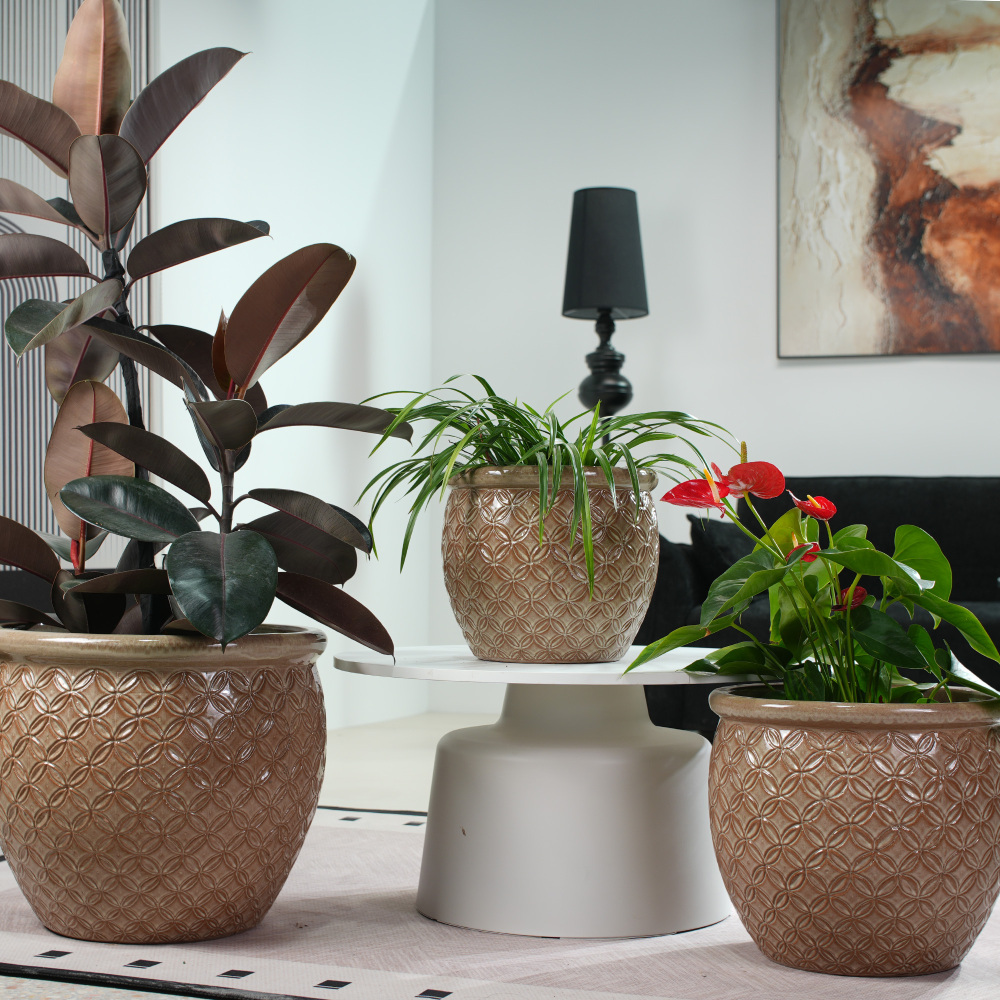 Handmade Ceramic Flower Pot Set, 3pcs (Diameters 38.5/30.5/23Cm), Light Beige, Decorated with Coin-Pattern Relief, Breathable, Frost-Resistant, with Drainage Holes at The Bottom, Suitable for Gardens And Balconies. gardening gift home decor