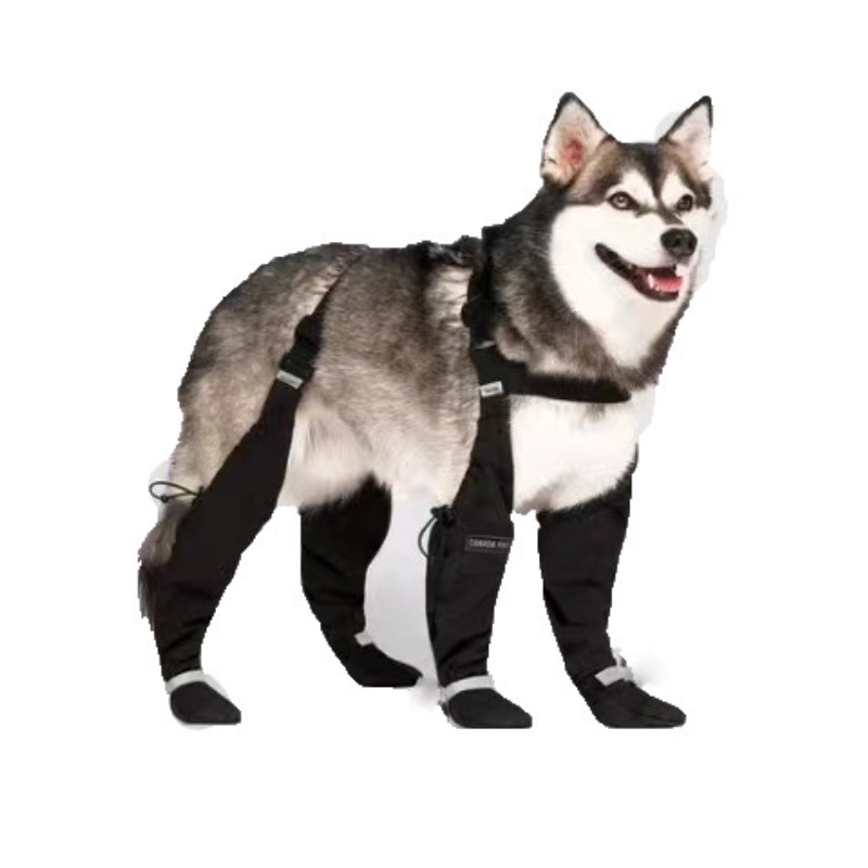 TEMU New Anti-dirty Dog Shoelaces With Reflective Strips, Stretchable Dog Boots Suitable For Medium, Large, And Extra-large Breeds. Ideal For Outdoor