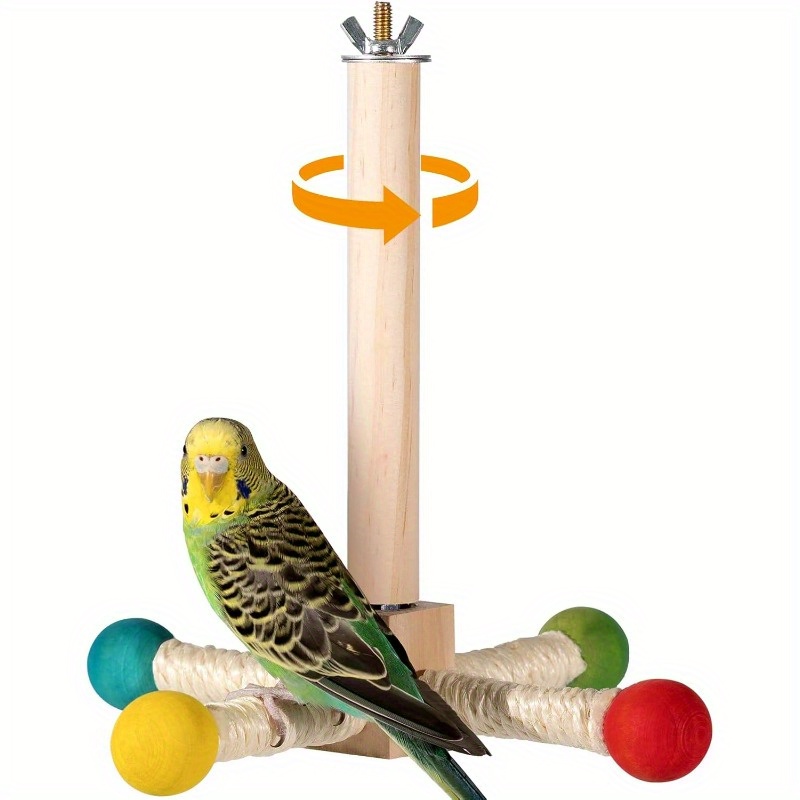 How to Open a Bird Toy: Easy Steps for Safe Playtime Fun