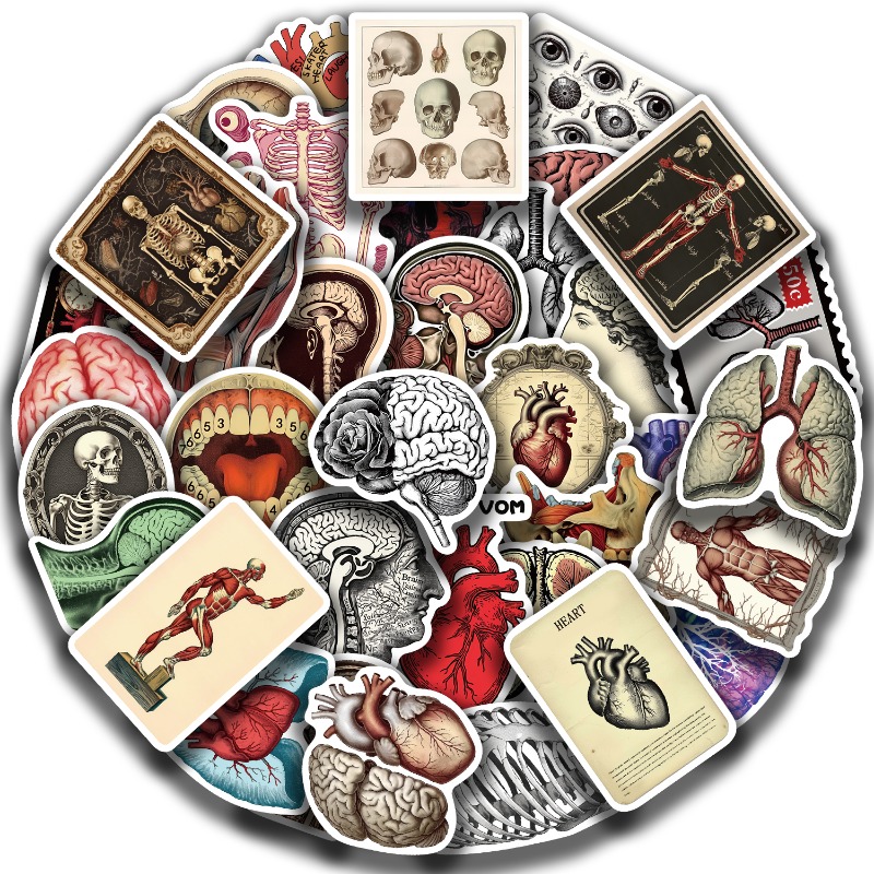 Image of 50pcs Retro Scientific Anatomy Stickers, Multicolor Pattern Stickers, Funny Stickers, Vintage Decorative Decals Bottles, Decorative Paper, Scrapbooking, Diary, Laptop, Bumper, Skateboard, Water Bott