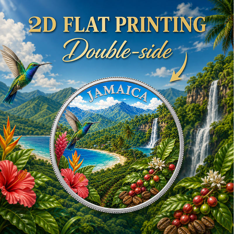 TEMU 1pc, 2d Flat Printing, Island Rhythm Collectible Coin, Mountain , Waterfall, Hummingbird, Coffee, Double Sided , With Acrylic Protective Box,