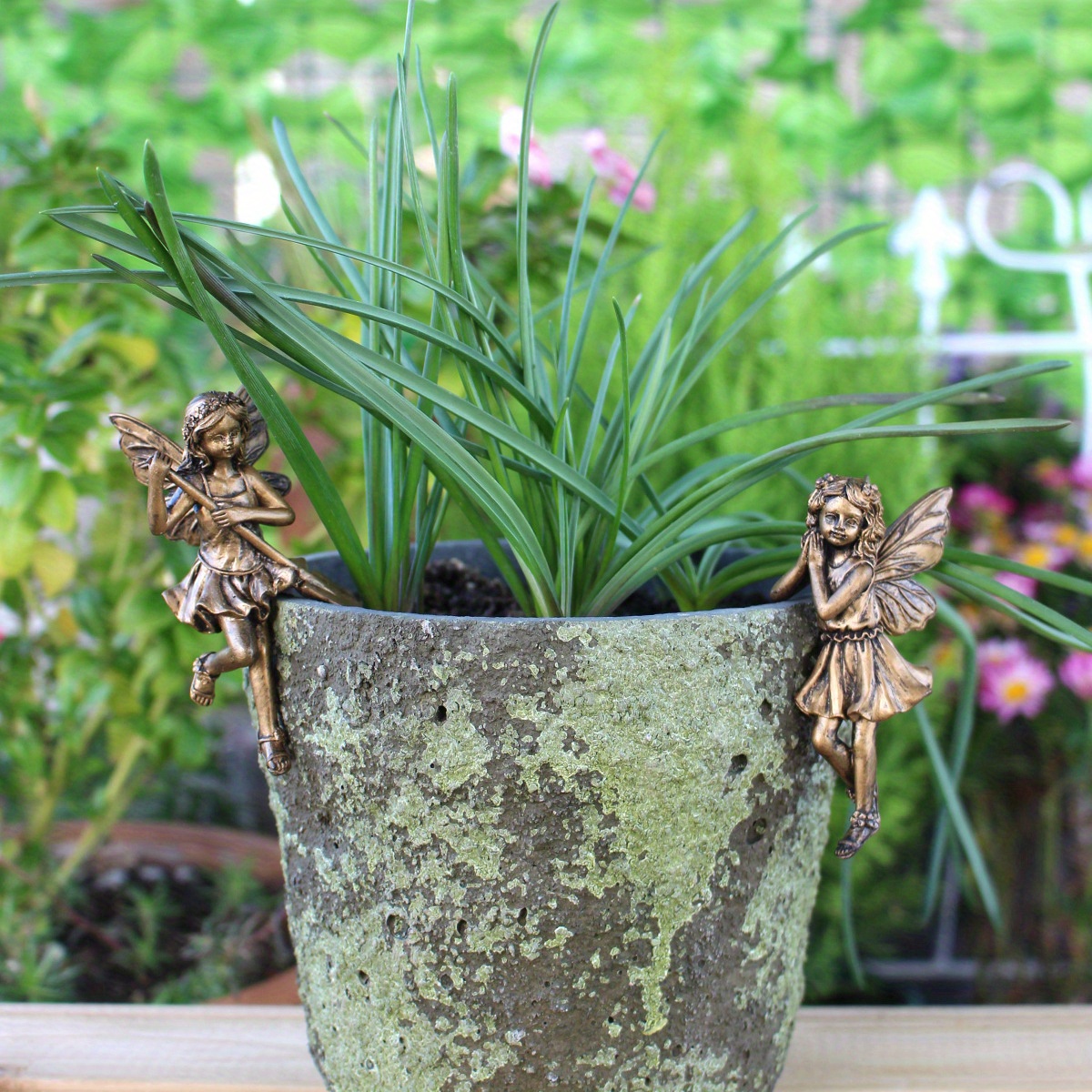 money tree plant potting soil GARDENERA Money Tree Potting Soil - 10 QUART main image 0
