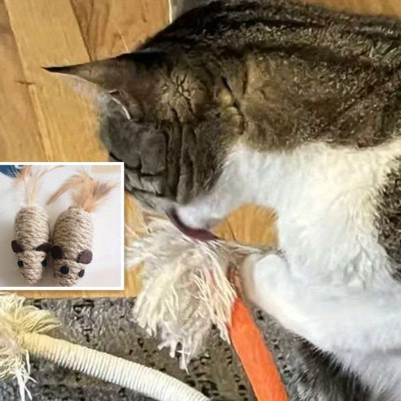 1 2pcs cat supplies jute rope feather mouse self entertaining chew teaser pet toy for cats joy Product details 0