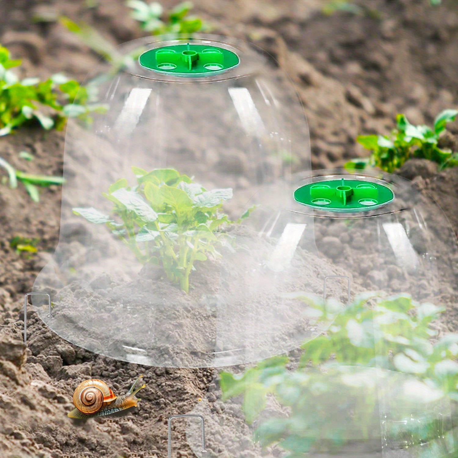 garden cloche clear bell covers freeze protection humidity - Temu