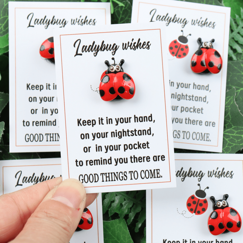 

2pcs Wings Ladybug Resin Pocket Amulet Set With Story Card - Themed Tokens , And New Year Gift