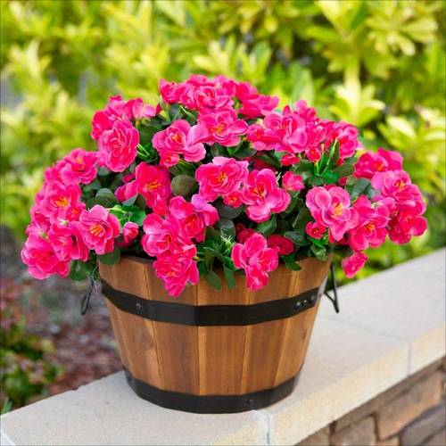 6 bundles uv resistant realistic artificial flowers all weather fade resistant outdoor plants for porch patio garden balcony yard decor no maintenance no watering artificial outdoor flowers porch decoration natural look foliage
