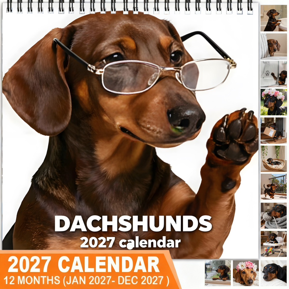TEMU (december Thick Coated Paper, Spiral Double-sided Printing) Dachshund With Glasses Raising Paw Planner 2027 Planner Wall Calendar - Home Or ,