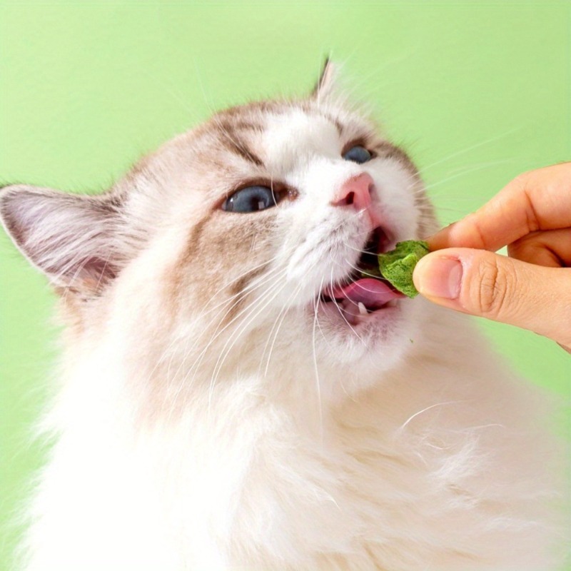 520  34  freeze dried cat grass   in barrels with chicken egg yolk flavor teeth cleaning pilling and digestive support suitable for   cats and kittens Product details 3