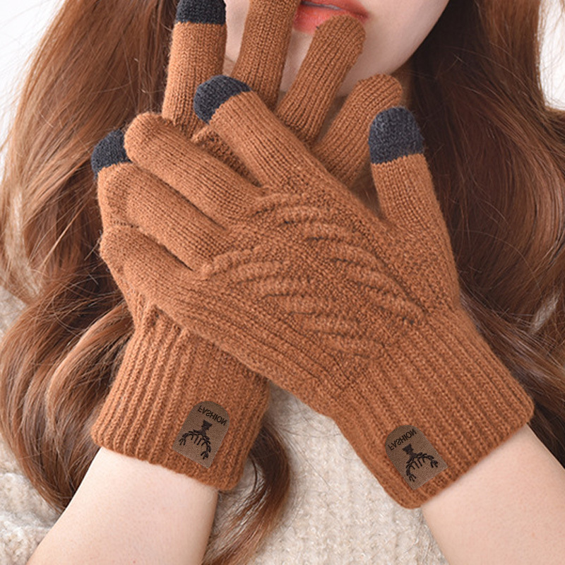 Multi-Colour Touchscreen Ski Gloves for Excellent Warmth