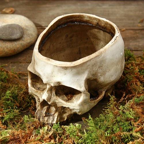 1 pieza de vintage con forma de - decorativa de resina con agujeros de drenaje, para uso interior/exterior de suculentas, cactáceas, decoración y jardín, soporte de plantas para interior, decorativa única, de envejecimiento realista.
