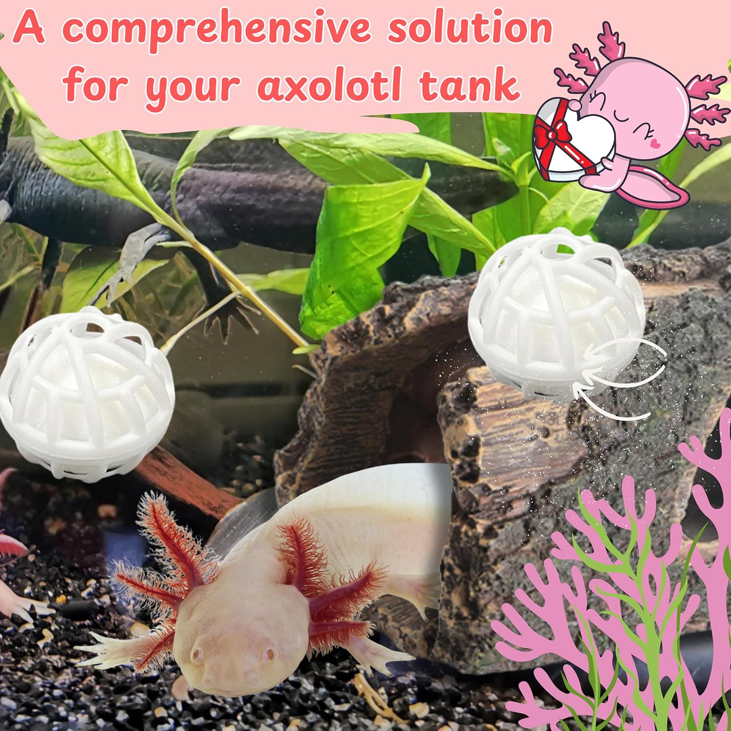 axolotl fish tank accessories Aquarium Corner Cave Hide Cichlid Cave Accessories, Corner Fish Aquarium Cave Hide with Viewing Window, Terrarium/ Aquarium Underground Natural Cave : Pet Supplies Axolotl Hide Cave Wall Aquarium